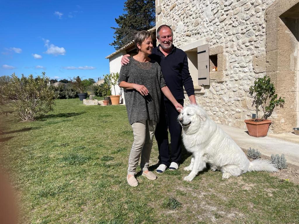 Bed and Breakfast Mas Le Jas à Cavaillon Extérieur photo